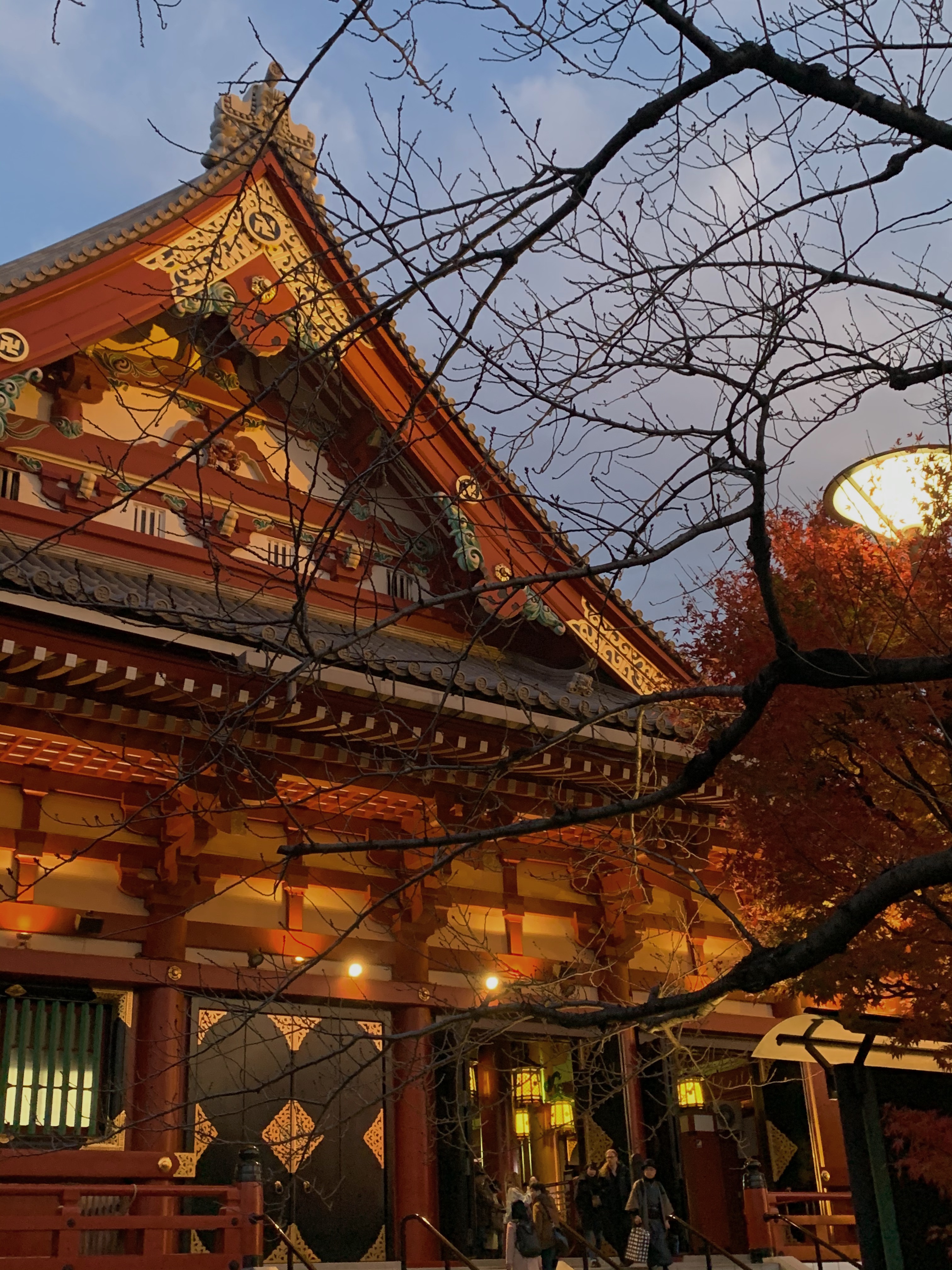 在浅草寺抽到了大吉接下来一定会遇到很多很棒的事情吧 日本·浅草寺