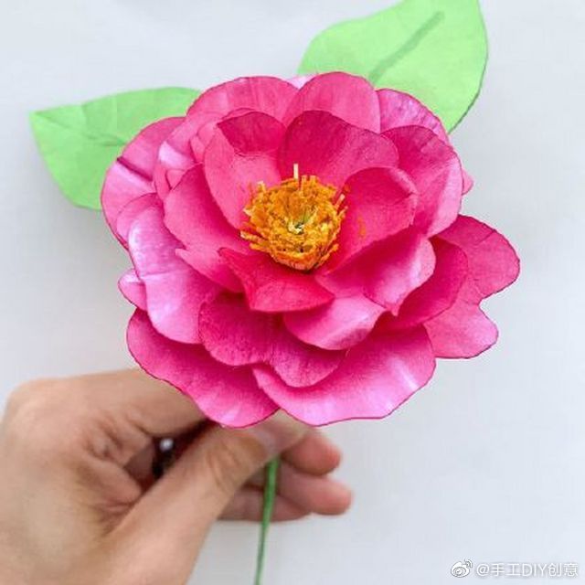 手工纸艺花儿~~做纸艺花卉,最常用到的就是彩色卡纸,皱纹纸,还有那种