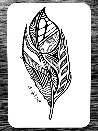 黑白插画# 羽毛. 作者: 一张卡片画