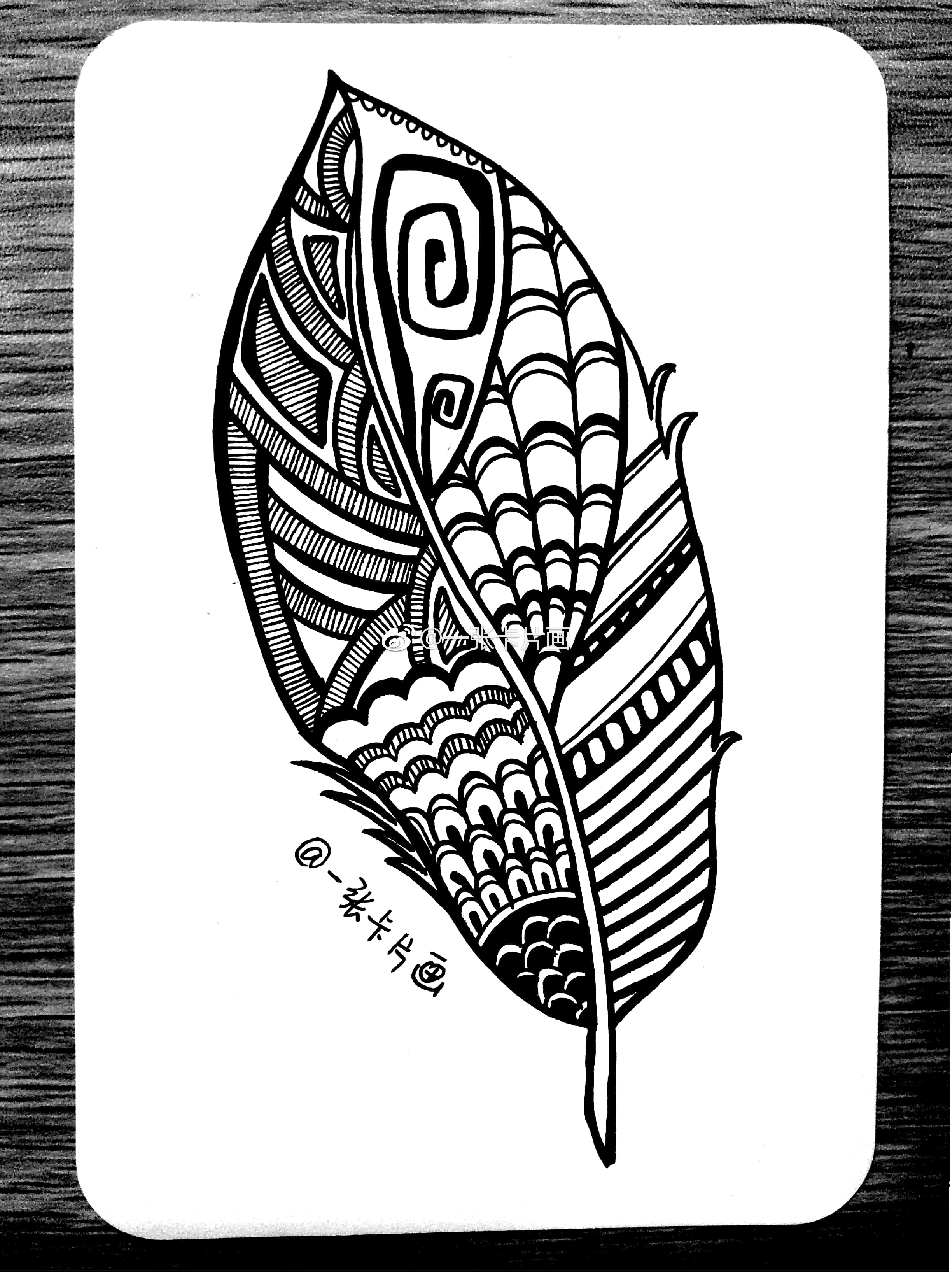 黑白插画# 羽毛. 作者: 一张卡片画