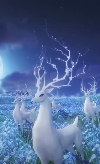 梦幻世界 - 堆糖,美图壁纸兴趣社区
