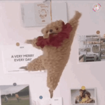 关注  表情包 芭蕾熊 评论 收藏