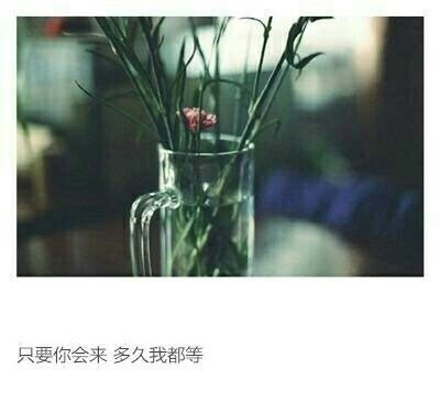 我拿余生与你举案齐眉请别让我皱眉 也别让我心如死灰 #人生感悟