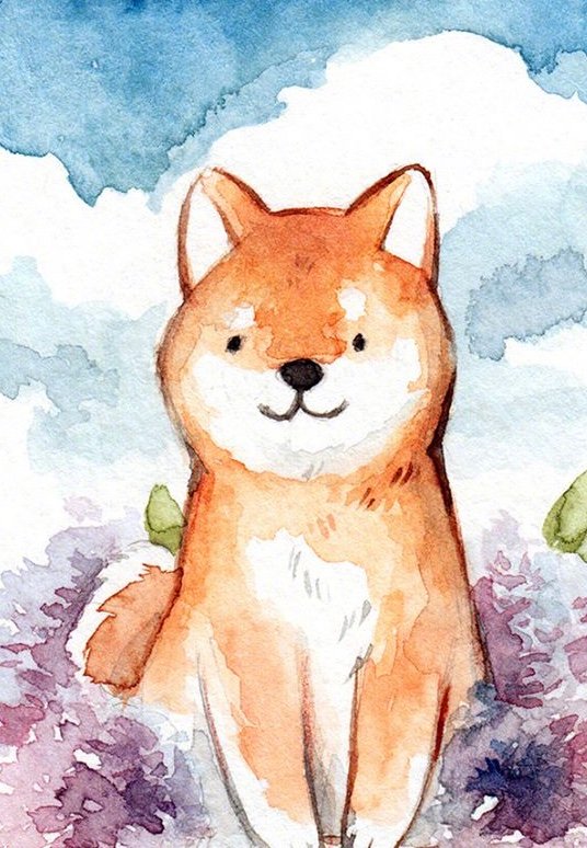 可爱的小柴犬【插画师daniela】