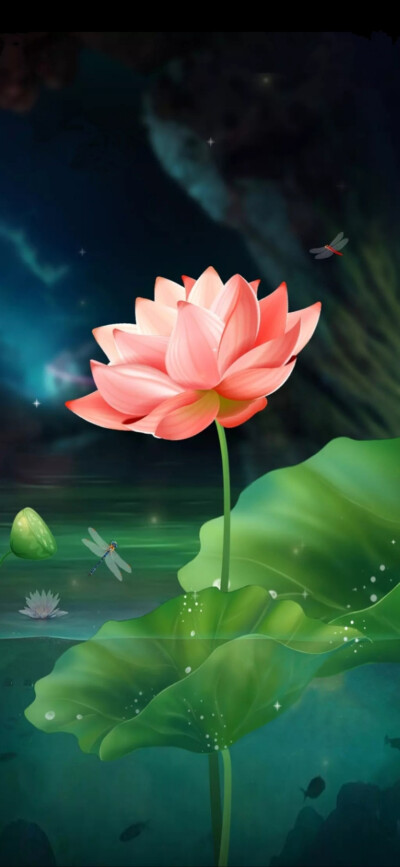 拈花悟禅 - 堆糖,美图壁纸兴趣社区