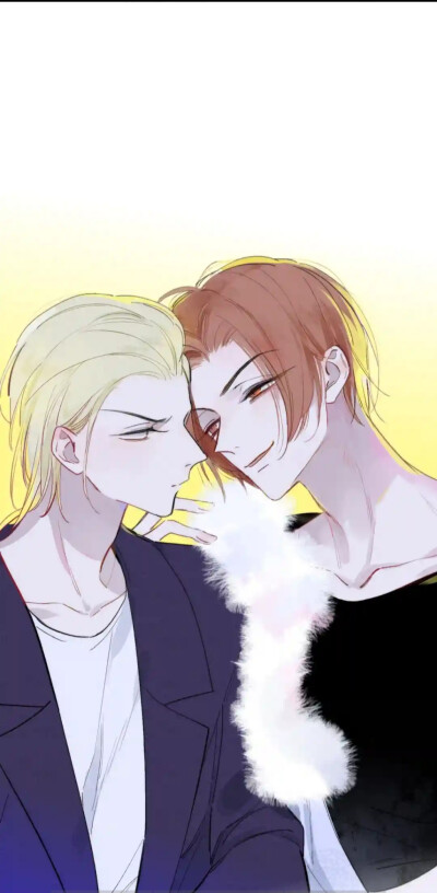 非友人关系—秦岚×白鹄