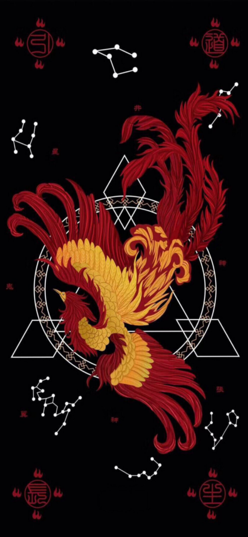 一颗酸苹果 朱雀