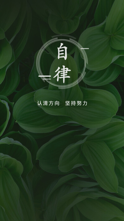 手机壁纸,护眼