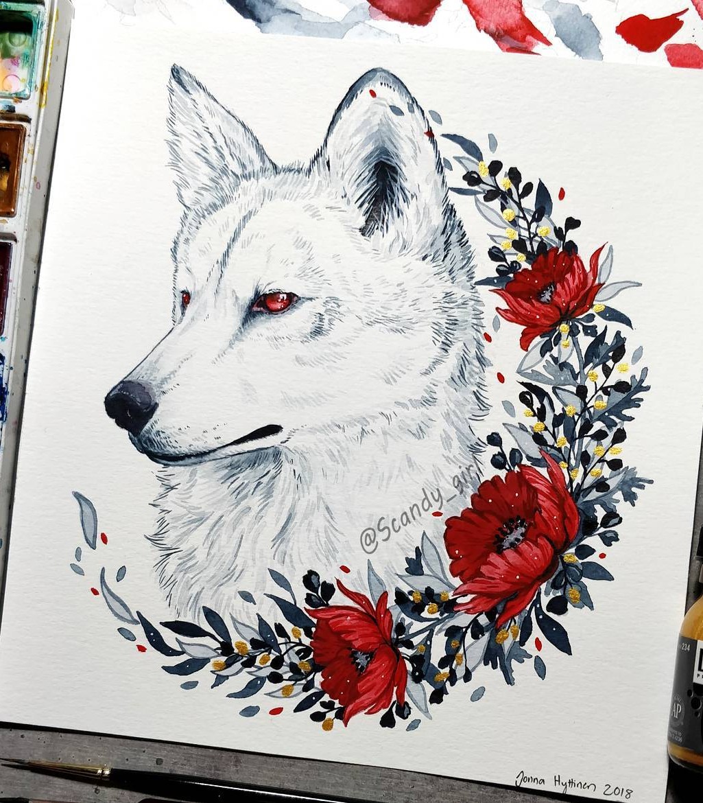 水彩 动物插画 作者ins@ polina.bright