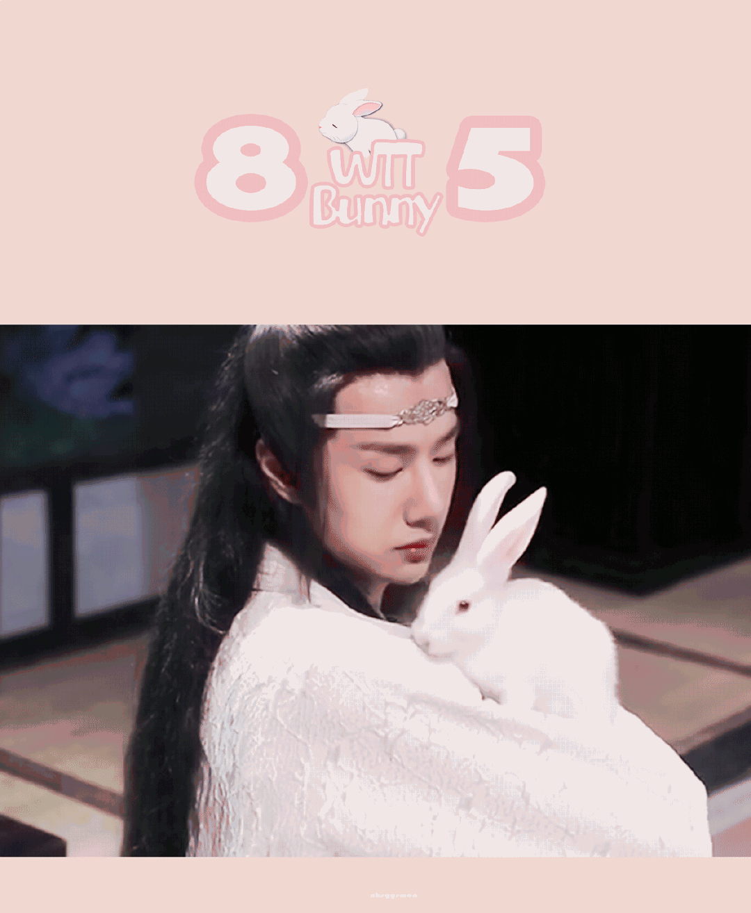 陈情令花絮 截修 @uniq-王一博 (仙叽抱兔兔)