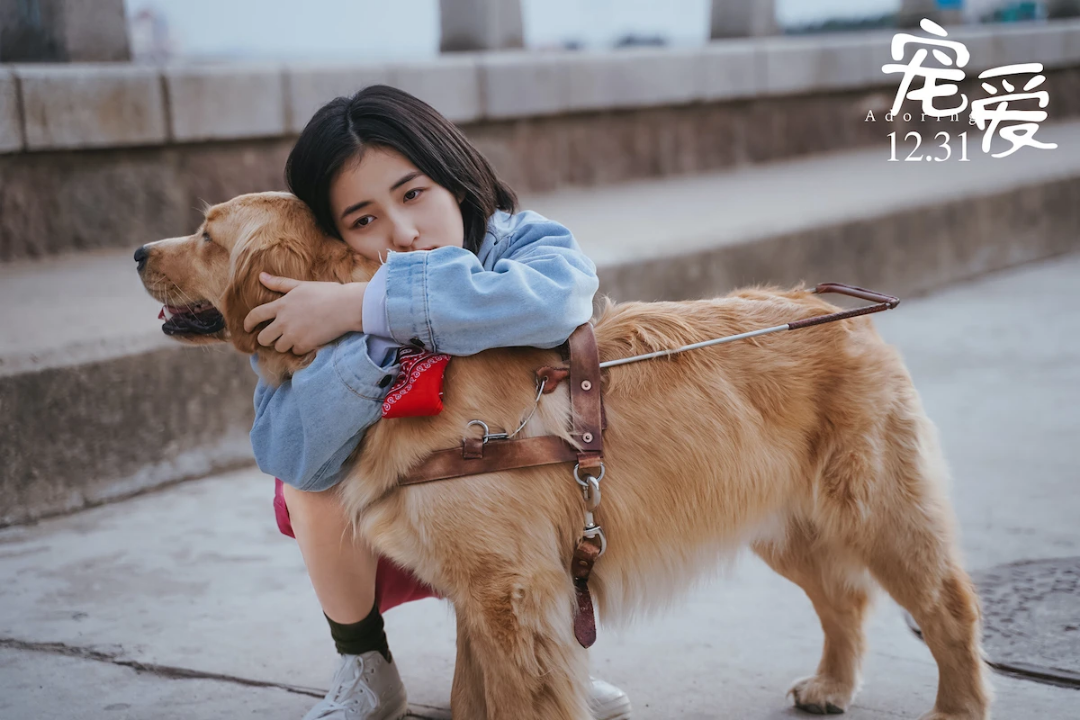 宠爱- 堆糖,美图壁纸兴趣社区