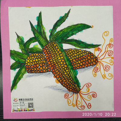 写生玉米儿童画