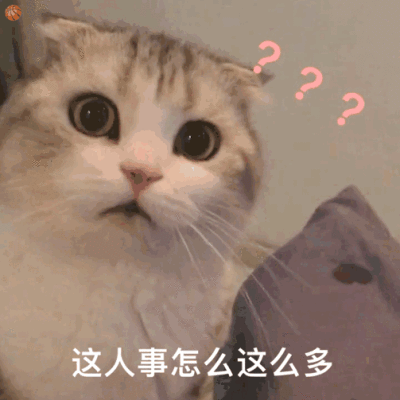 元気满满的一天