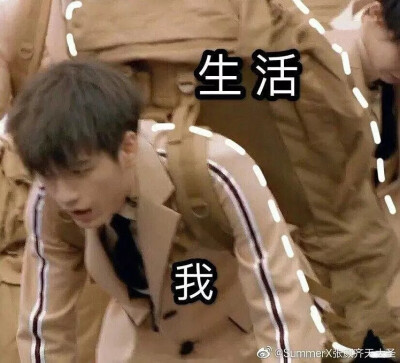 张颜齐表情包