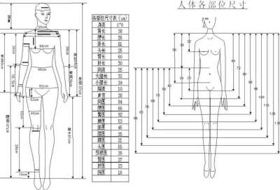 人体工程学尺寸对照表图片