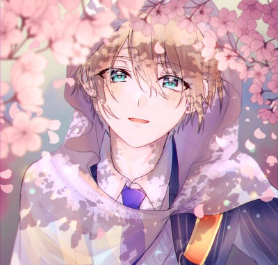 樱花漫斯美少男