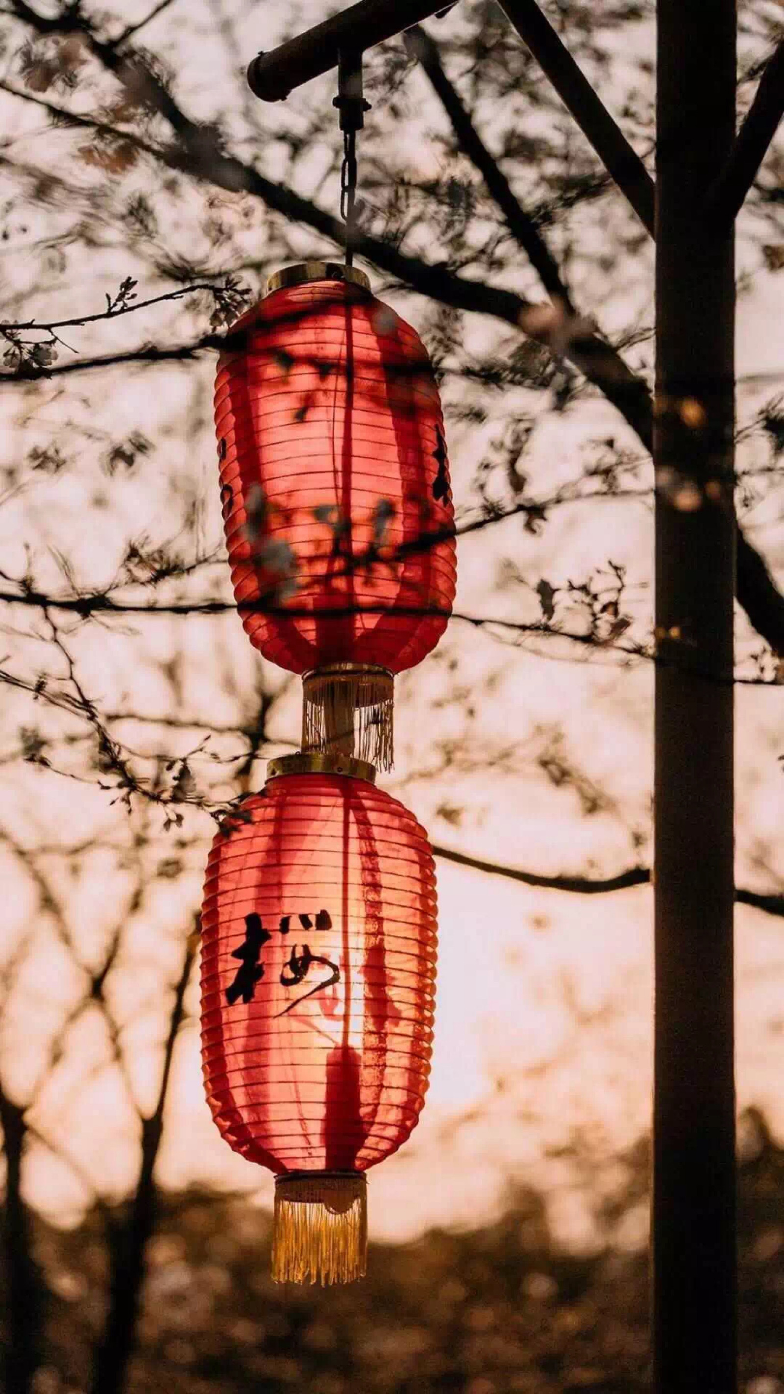 iphonex r xs max iphone11壁纸 锁屏壁纸 全面屏壁纸 聊天背景 卡通