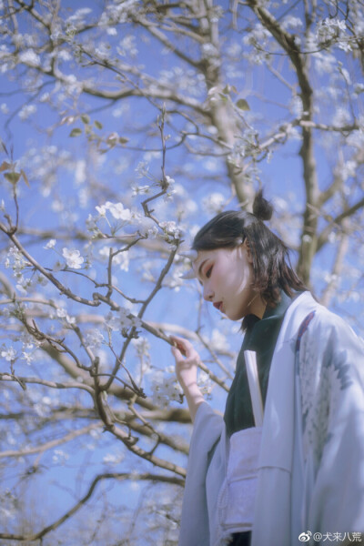 成果