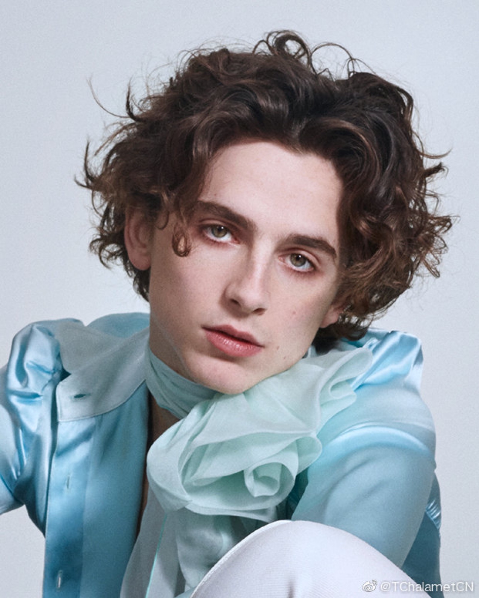 蒂莫西·柴勒梅德timothéechalamet(请以你的名字呼唤我)蒂莫西·柴