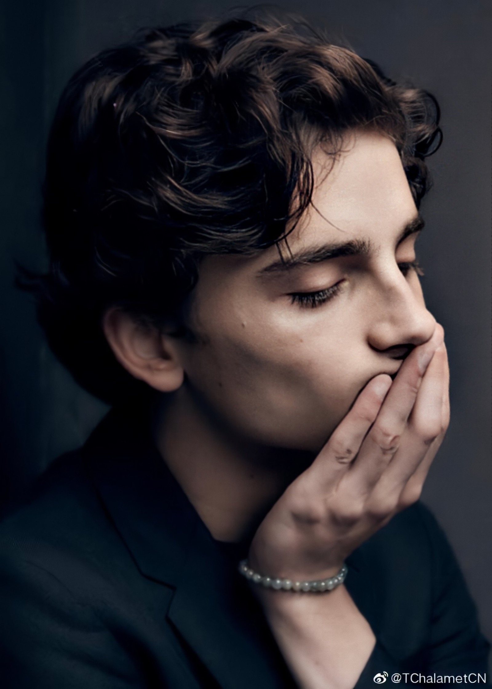 蒂莫西·柴勒梅德timothéechalamet(请以你的名字呼唤我)蒂莫西·柴