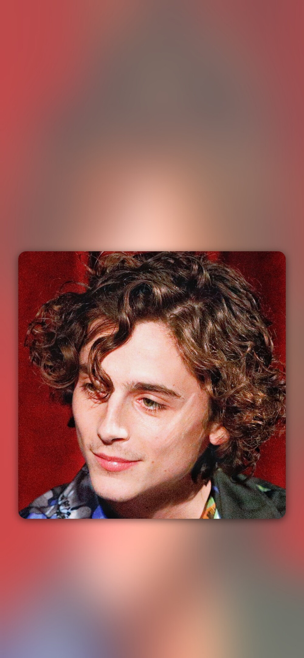 蒂莫西·柴勒梅德timothéechalamet(请以你的名字呼唤我)蒂莫西·柴