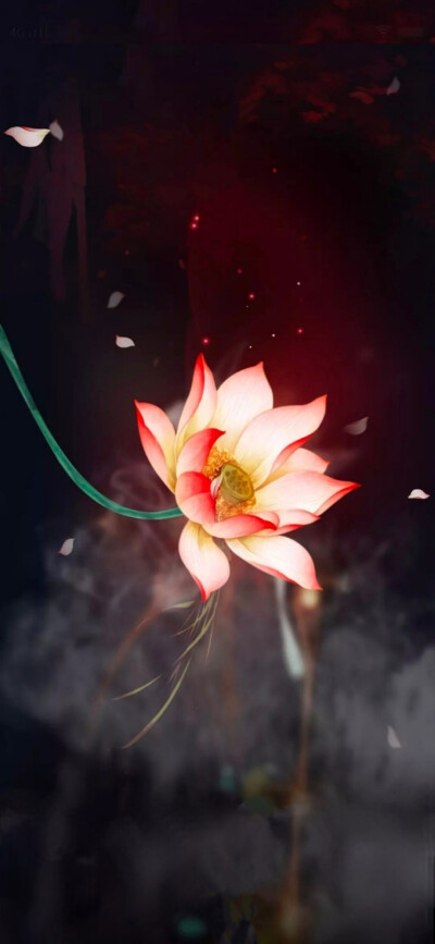 拈花悟禅 - 堆糖,美图壁纸兴趣社区
