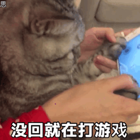 表情包