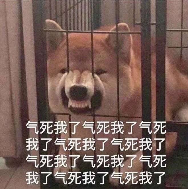 可可爱爱表情包