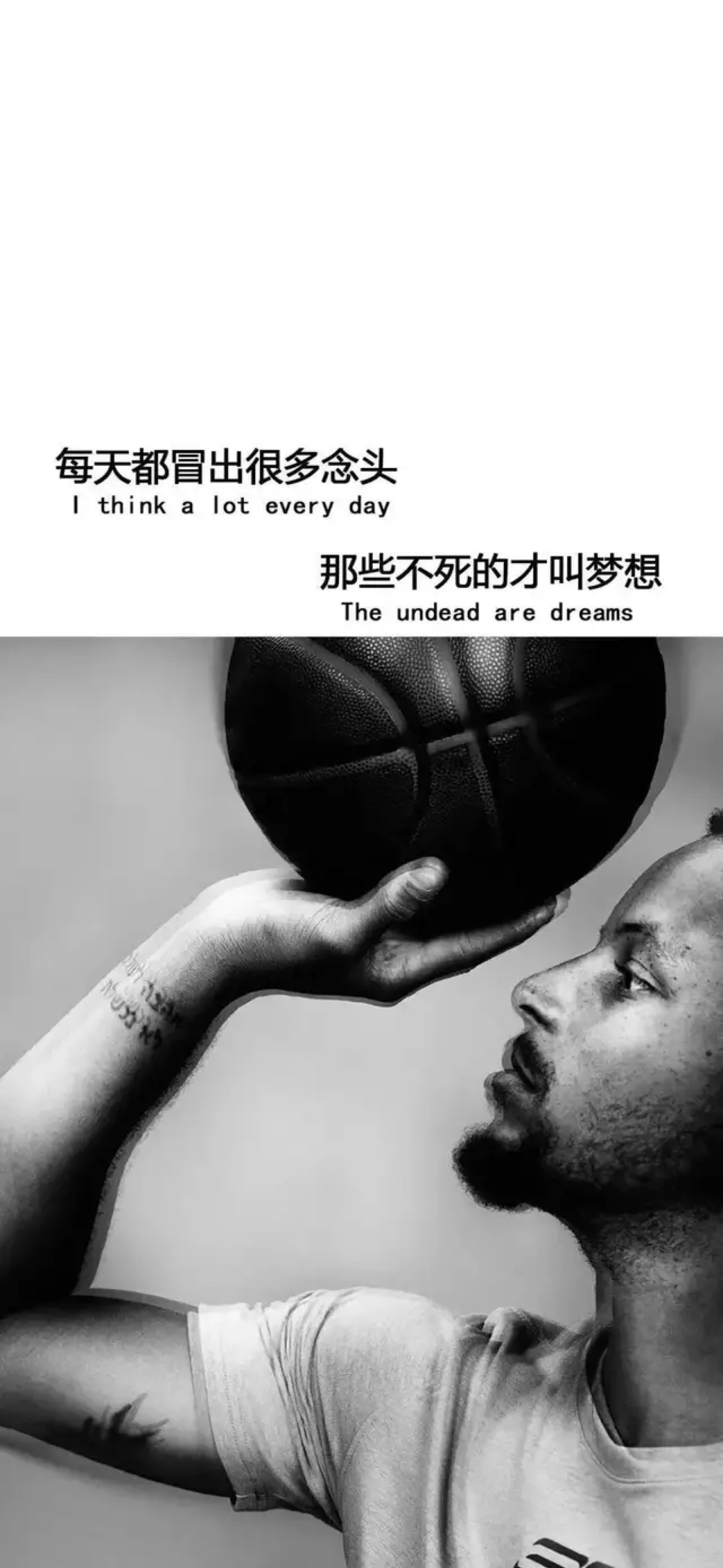 上图