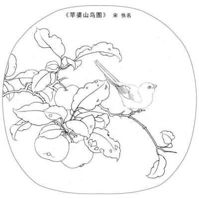 白描花鸟鱼