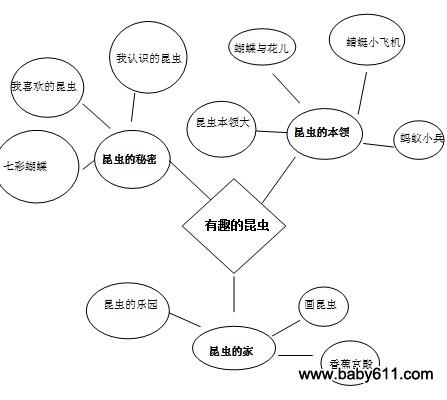 蝴蝶主题网络图幼儿园图片