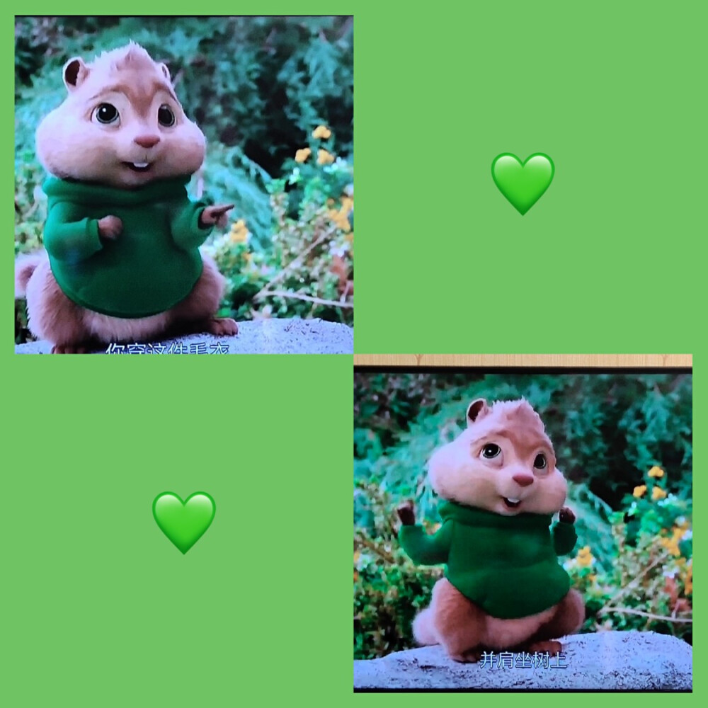 鼠来宝绿色的花栗鼠图片