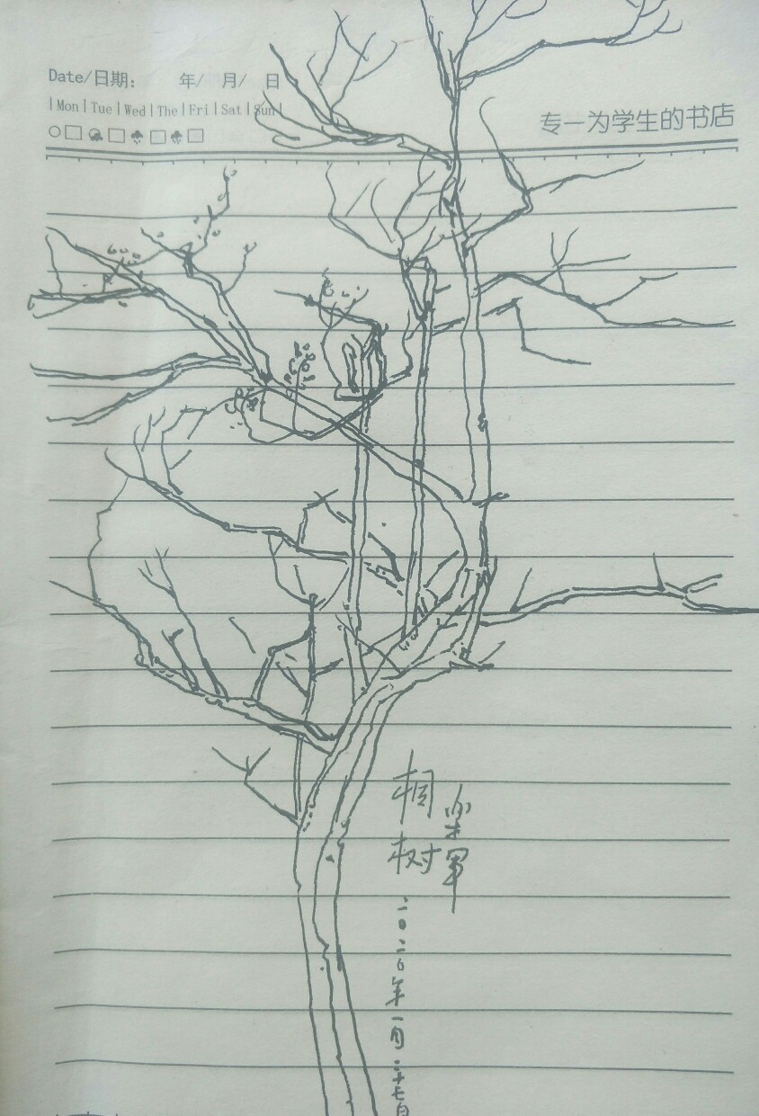 风景速写