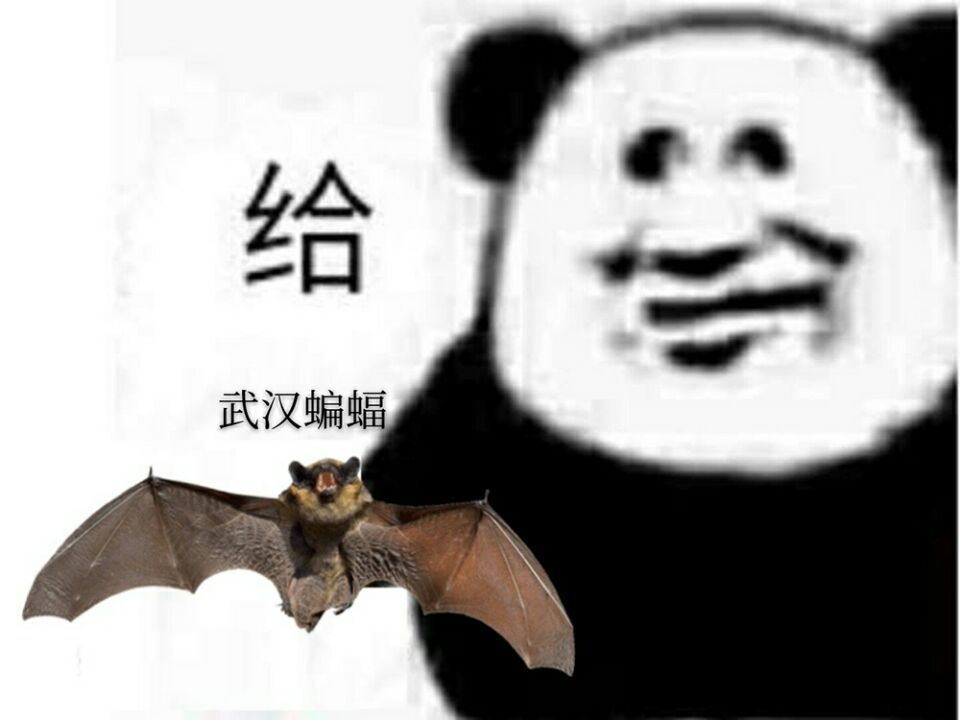 蝙蝠表情包