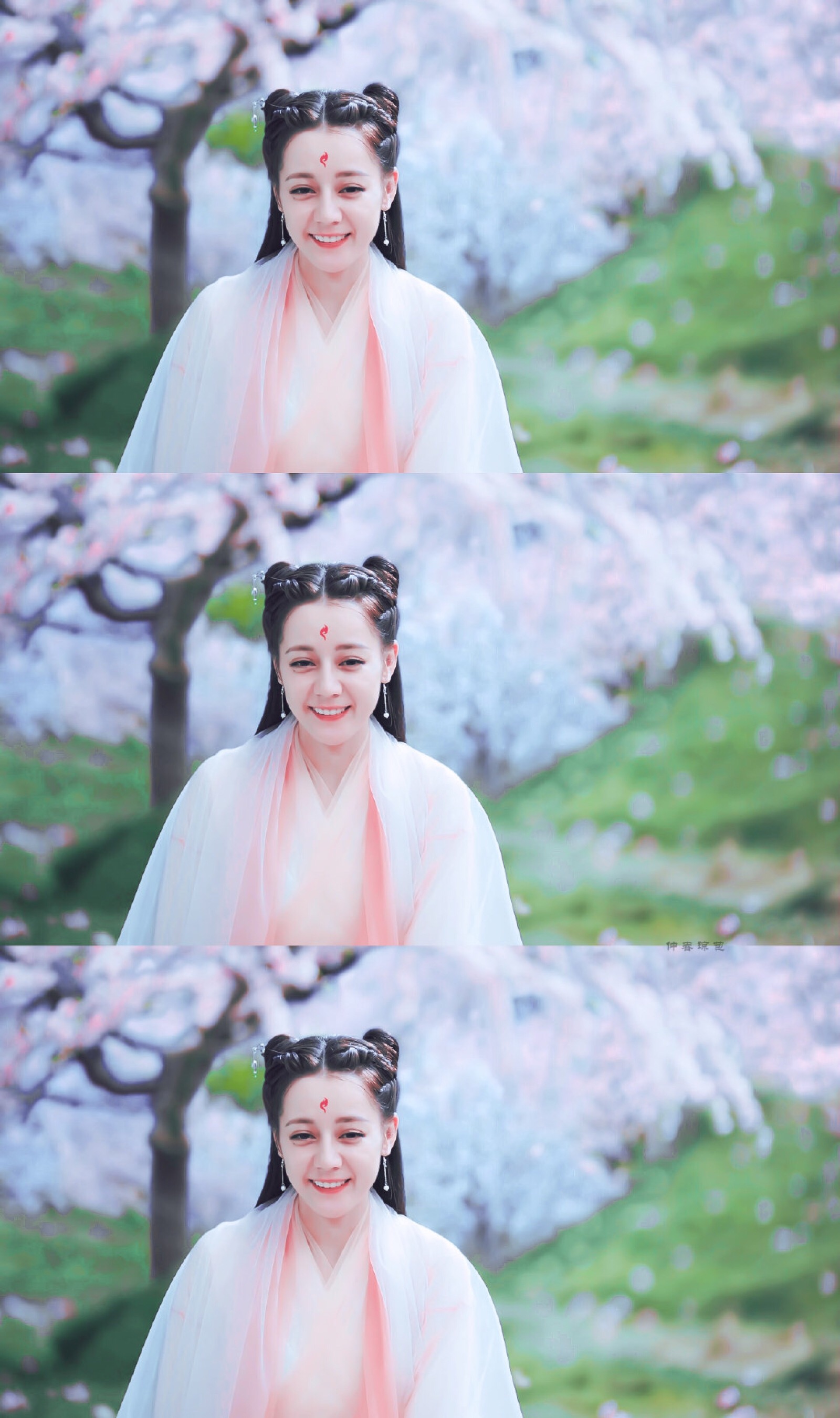 饭修/迪丽热巴三生三世枕上书白凤九青丘女君帝姬四海八荒第二绝色