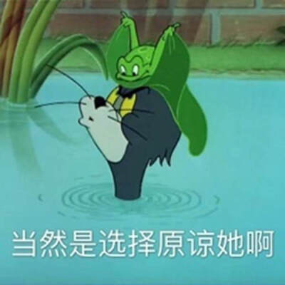 汤姆杰瑞/猫和老鼠表情包