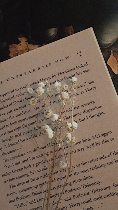 背景图/仙女/ins风