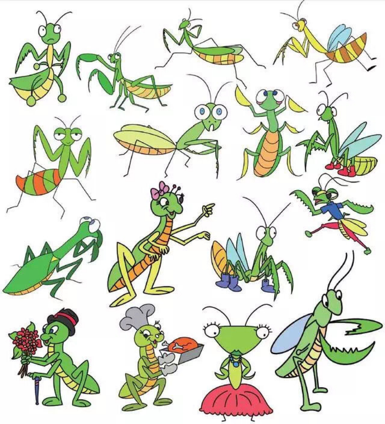 昆虫记中的昆虫简笔画图片