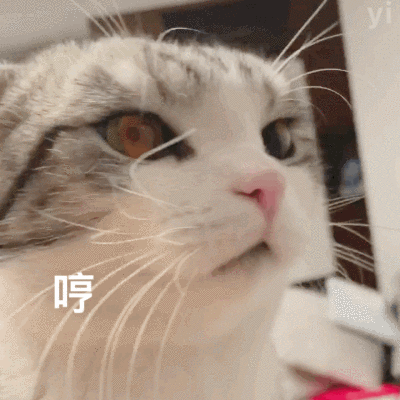 继承人 名下拥有2辆法拉利5套房 没靠父母 全靠一盘花生米一瓶江小白