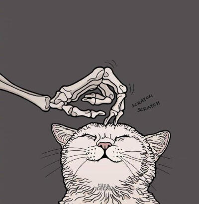 骷髅与猫