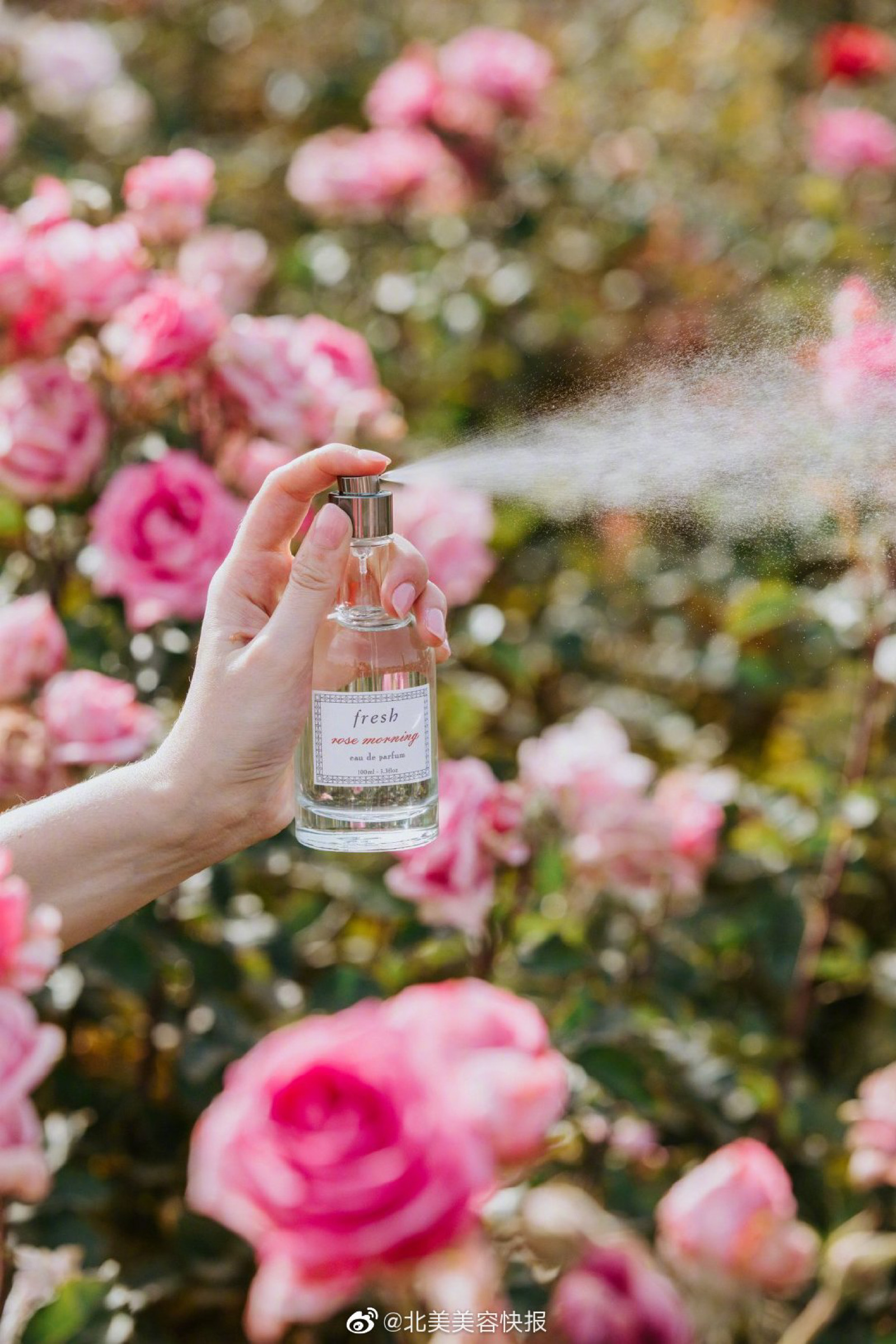 【fresh官网美妆护肤热卖】新春系列上线   送11件豪礼(价值$84)!