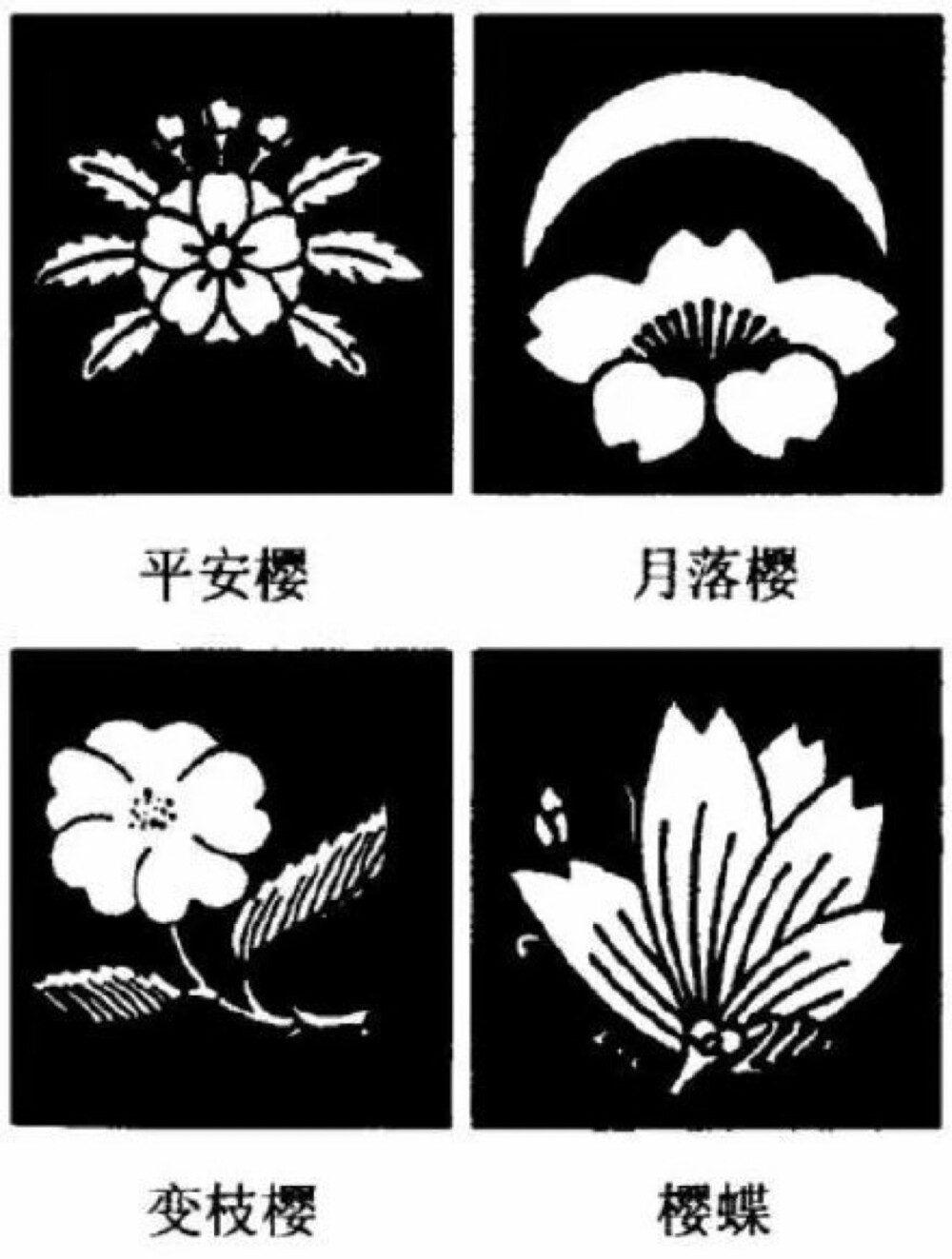 日本诞生花花纹图片