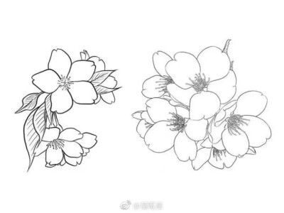 鸡鸣寺樱花手绘图片