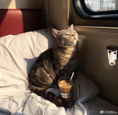 好想出去玩配图