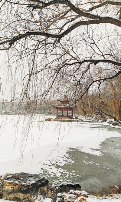 紫竹院公园冬天图片图片