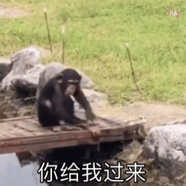 大猩猩捶胸动态表情包图片
