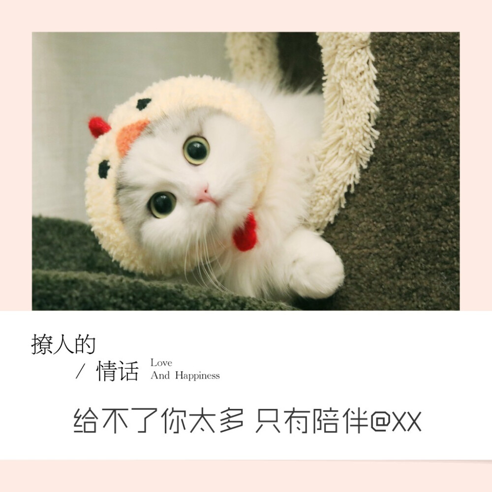 艾特对象的撩人情话,快收藏起来吧