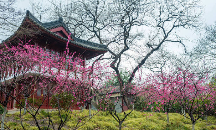 河边淑气迎芳草,林下轻风待落梅.#诗词# #诗词歌赋# #吾爱诗词