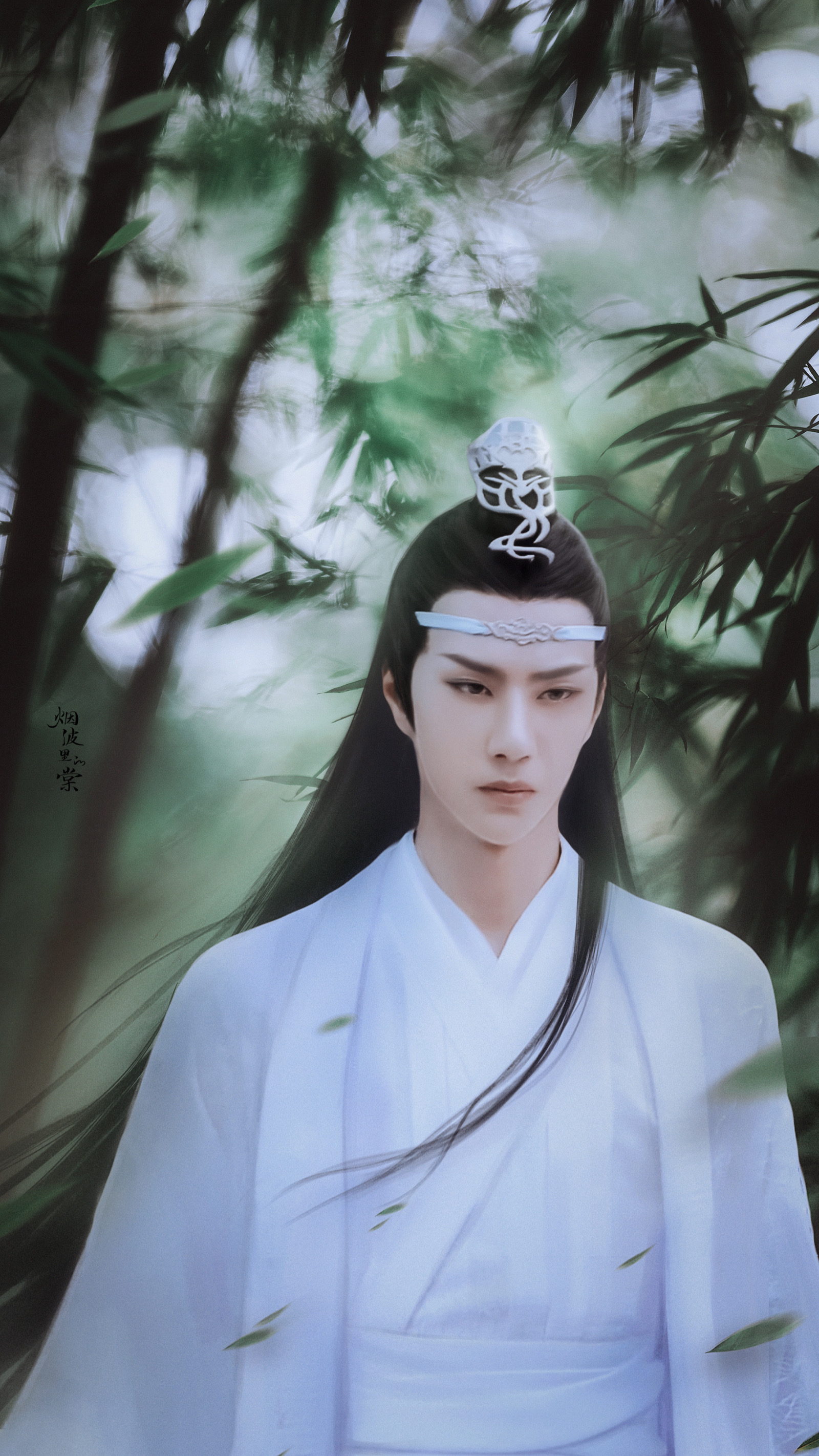 陈情令×蓝忘机