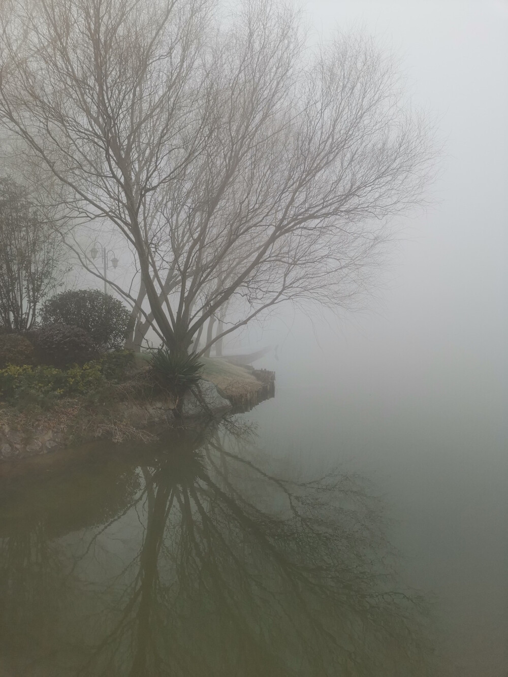 灰蒙蒙的天气心情图片图片